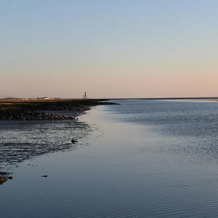 Whg 2 Cappel-Neufeld